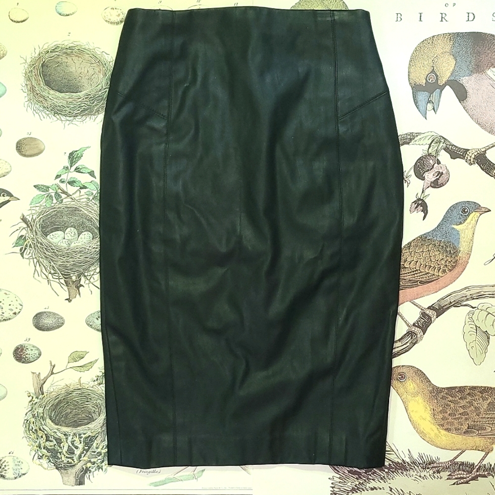 Express | Faux Leather Lined Pencil Skirt w/ Back Zipper | Sz 2